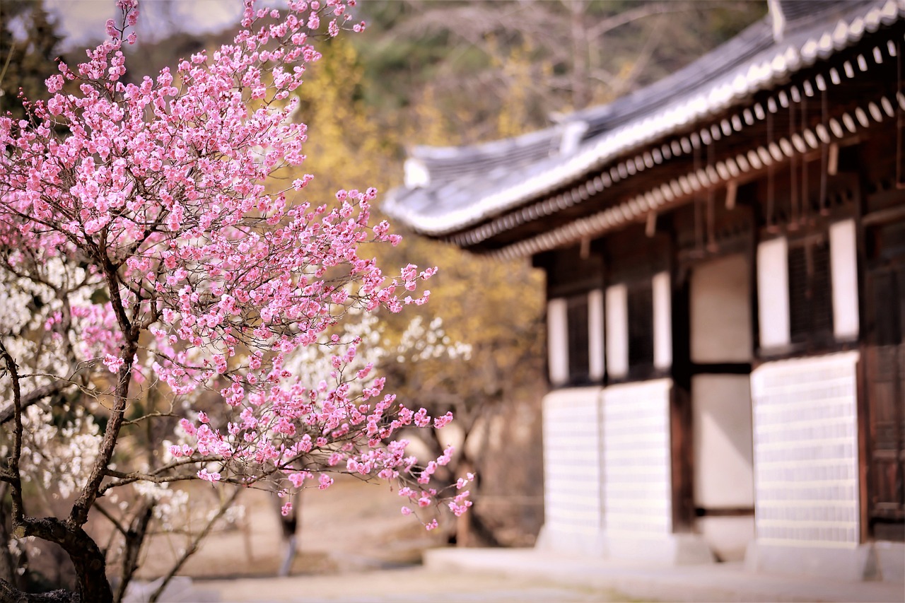 梅花集團股吧深度解析，背景、現(xiàn)狀與未來展望探究